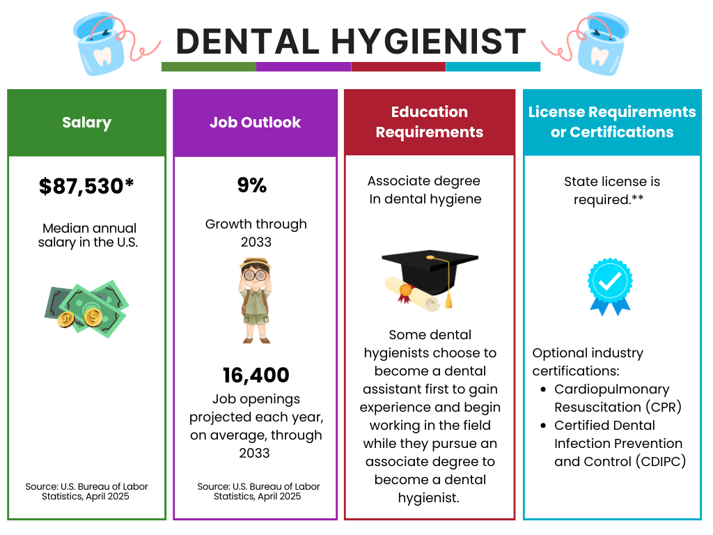 Dental Hygienist career