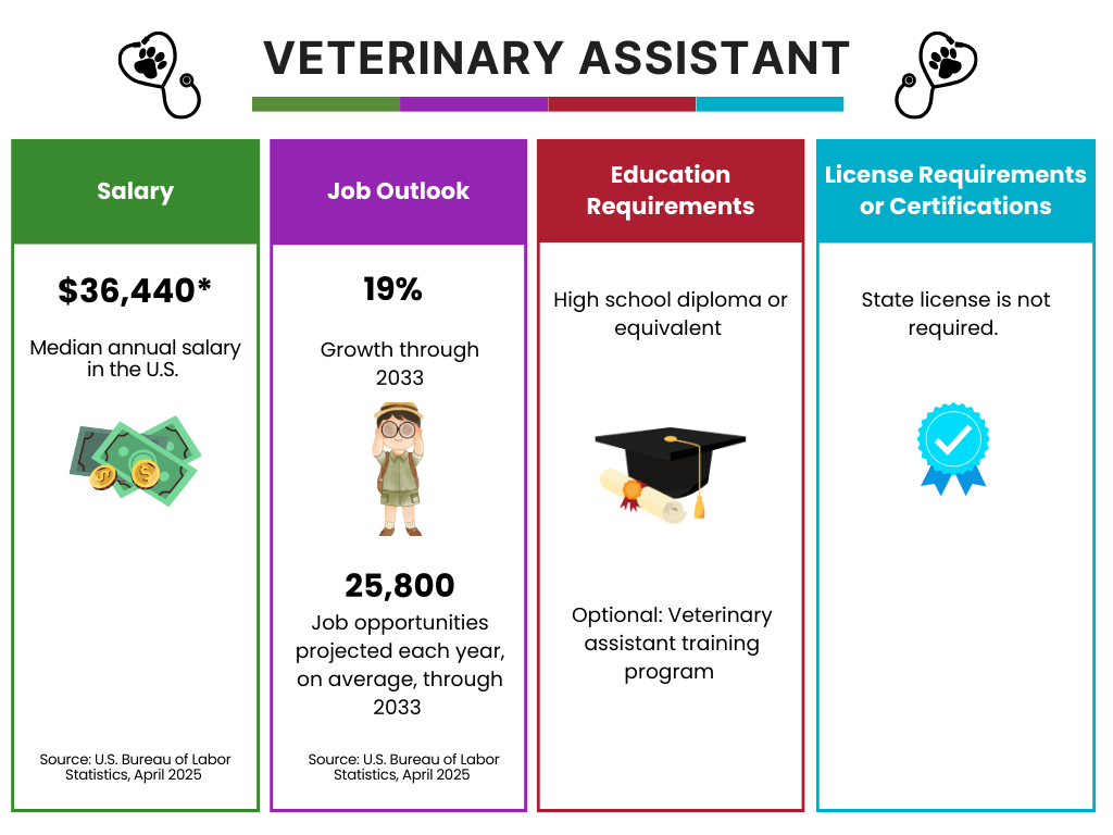 Veterinary Assistant career